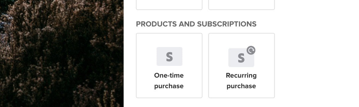 2 purchasing options - one time purchase and recurring purchase